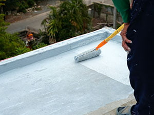 Liquid Applied Roof Systems